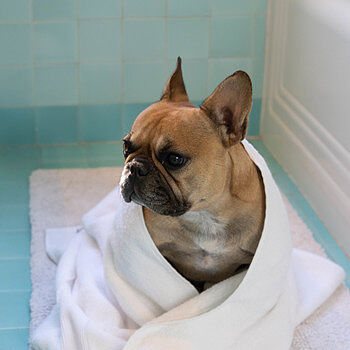 Liam Essential Bath Towel