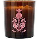 Product image for Orchard Sun Scented Candle