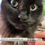 Image of Review by Tracy M. on 2 Jul 2019 number 1