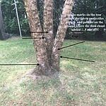 Image of Review by Lisa on 5 Jul 2019 number 1