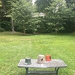 Image of Review by Lisa on 5 Jul 2019 number 2