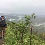 Image of Review by Steve B. on 14 Aug 2019 number 3