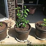 Image of Review by Debby D. on 21 Aug 2019 number 1