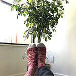 Image of Review by Nick G. on 13 Sep 2019 number 1