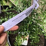 Image of Review by Rob M. on 21 Sep 2019 number 1