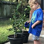 Image of Review by Rob M. on 21 Sep 2019 number 2