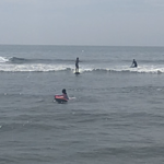 Image of Review by Nicole V. on 3 Oct 2019 number 1