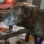 Image of Review by Linda S. on 8 Oct 2019 number 1