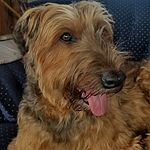 Image of Review by Barbara M. on 26 Oct 2019 number 1