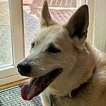 Image of Review by Karen V. on 28 Oct 2019 number 1