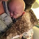 Image of Review by Kelsee R. on 5 Nov 2019 number 1