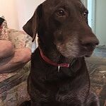 Image of Review by Bonnie M. on 6 Nov 2019 number 2