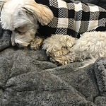 Image of Review by Melinda F. on 16 Nov 2019 number 1