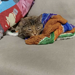 Image of Review by Donna L. on 22 Nov 2019 number 1