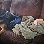 Image of Review by Chrissa W. on 1 Dec 2019 number 1