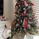 Image of Review by Mary B. on 16 Dec 2019 number 1