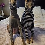 Image of Review by Jennifer O. on 18 Dec 2019 number 1