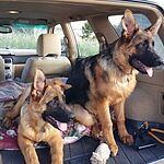 Image of Review by Kedsuda S. on 18 Dec 2019 number 1