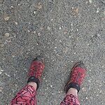 Image of Review by Nicola B. on 27 Dec 2019 number 1