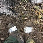 Image of Review by Jason on 28 Dec 2019 number 2