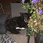 Image of Review by Terri V. on 30 Dec 2019 number 1