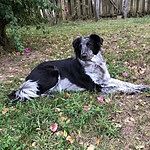 Image of Review by Victoria D. on 31 Dec 2019 number 1