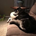 Image of Review by Laurie D. on 6 Jan 2020 number 1