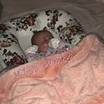 Image of Review by Emily M. on 17 Jan 2020 number 1