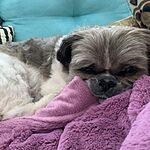 Image of Review by Angeline D. on 19 Jan 2020 number 1