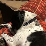 Image of Review by Roxanne S. on 20 Jan 2020 number 1
