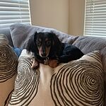 Image of Review by Jacquie S. on 23 Jan 2020 number 1