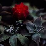 Image of Review by Mia C. on 27 Jan 2020 number 1
