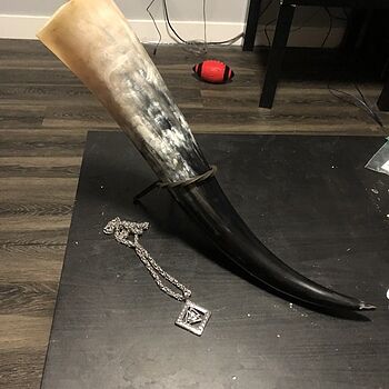Drinking Horn Set Bought this as a gift