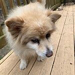 Image of Review by Patricai K. on 4 Feb 2020 number 1
