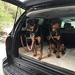 Image of Review by Brenda H. on 6 Feb 2020 number 1