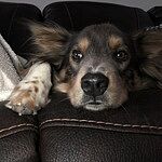 Image of Review by Julie B. on 9 Feb 2020 number 1