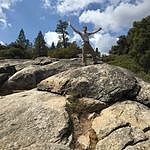 Image of Review by John H. on 11 Feb 2020 number 1