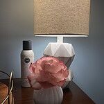 Image of Review by Barbara H. on 11 Feb 2020 number 1