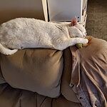 Image of Review by Sally M. on 24 Jan 2020 number 1