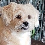 Image of Review by Janet B. on 17 Feb 2020 number 3