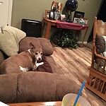 Image of Review by Joyce L. on 17 Feb 2020 number 2