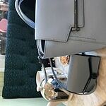 Image of Review by Mark B. on 19 Feb 2020 number 1