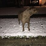 Image of Review by Arturo U. on 21 Feb 2020 number 1