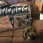 Image of Review by Pamela R. on 23 Feb 2020 number 1