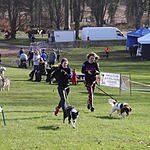 Image of Review by Victoria G. on 24 Feb 2020 number 1