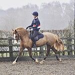 Image of Review by Grace T. on 25 Feb 2020 number 1