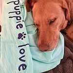 Image of Review by Beth P. on 28 Feb 2020 number 1