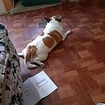 Image of Review by Donna E. on 28 Feb 2020 number 1