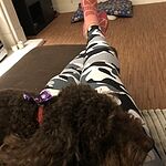 Image of Review by Kerri F. on 2 Mar 2020 number 1