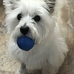 Image of Review by Halina K. on 4 Mar 2020 number 1
